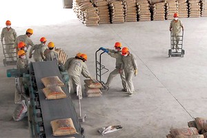 Ngành xi măng đang dần "dễ thở" hơn